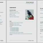 Kündigung Für Sky Vorlage Bewundernswert Sky Kündigung Vorlage Zum Ausdrucken Gut Lebenslauf Muster