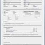 Kündigung Gemeinsamer Mietvertrag Vorlage Einzigartig Kündigung Gemeinsamer Mietvertrag Frisch Besten Der 32