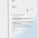 Kündigung Haftpflichtversicherung Vorlage Pdf Bewundernswert Kündigung Haftpflichtversicherung Muster Vorlage Zum