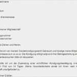 Kündigung Haftpflichtversicherung Vorlage Word Schön Kündigung Versicherung Vorlage Download Chip