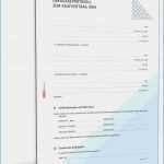 Kündigung Haftpflichtversicherung Vorlage Word Schönste 50 Neu Bilder Kündigung In Der Probezeit Muster