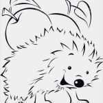 Kündigung Kabelanschluss Unitymedia Vorlage Luxus 20 Schönste Vollmacht Konto Muster Foto