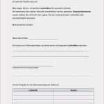 Kündigung Klarmobil Vorlage Neu Entwicklungsgesprach Kindergarten Vorlage Protokoll