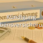 Kündigung Lebensversicherung Vorlage Kostenlos Erstaunlich Berliner Testament Muster Musterix