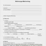 Kündigung Mietvertrag Vorlage Kostenlos Pdf Best Of Mietvertrag Lagerraum Muster Herunterladen Kündigung