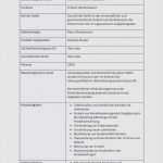 Kündigung Mnet Vorlage Gut M Net Kündigung Vorlage Genial Job Kündigung Vorlage Brief