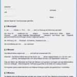 Kündigung Praktikum Vorlage Cool 70 Großartig Vollmacht Jobcenter Muster Galerie