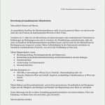 Kündigung Reinigungsfirma Vorlage Erstaunlich 17 Kündigung Arbeitsstelle Vorlage