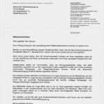 Kündigung Reinigungsfirma Vorlage Wunderbar 15 Referenzschreiben Beispiel