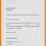 Kündigung Sportverein Vorlage Word Gut 7 Vorlage Kründigung Sportverein