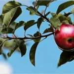 Kündigung Strom Umzug Vorlage Wunderbar 33 Schreiben Kündigung Strom Umzug Muster Interessant