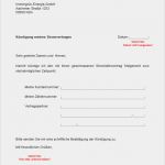 Kündigung Strom Vorlage Word Hübsch Immergrün Energie Kündigung