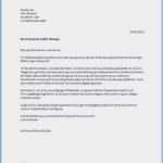 Kündigung Vorlage 1&1 Luxus Frisches Bewerbung Nebenjob Einzelhandel