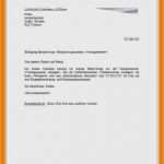 Kündigung Vorlage Sportverein Angenehm 9 Kündigung Schreiben Sportverein