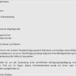 Kündigung Vorlage Word Versicherung Wunderbar 40 Erstaunlich Kündigung Krankenkasse Vorlage Word Vorräte