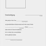 Kündigung Wg Zimmer Vorlage Fabelhaft Reinhard Horn Grundschule Rhumspringe Krankmeldung – Xua