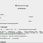 Kündigungsschreiben Strom Vorlage Beste Kündigung Strom Umzug Muster Beispiel Beispiel Brief An