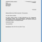 Kündigungsschreiben Vorlage Fitnessstudio Bewundernswert 35 Genial Fitnessstudio Kündigung Vorlage Bilder