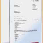 Kündigungsschreiben Vorlage Sportverein Angenehm 9 Kündigung Schreiben Sportverein