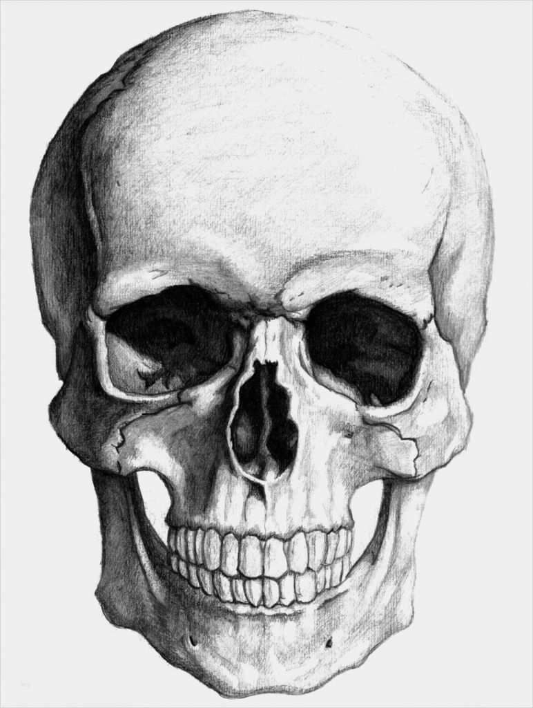 Künstlervertrag Vorlage Kostenlos Gut Snap Wunderbar Vorlagen Für Etiketten Galerie Beispiel