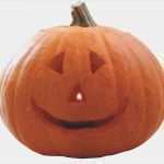 Kürbis Ausstechen Vorlagen Luxus Kürbis Schnitzen Ohne Messer