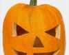 Kürbis Halloween Vorlage Best Of Halloween Kürbis Gesichter