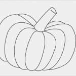 Kürbis Halloween Vorlage Elegant Basteln Herbst Halloween Kürbis Vorlage Diy