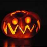 Kürbis Halloween Vorlage Erstaunlich Der Kürbis Zu Halloween Wiressengesund