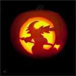 Kürbis Halloween Vorlage Großartig Hexe Auf Dem Besen Kürbis Schnitzen Stockbild Bild Von