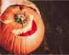 Kürbis Schnitzen Vorlage Gruselig Genial Kürbis Schnitzen Für Mehr Halloweenspaß