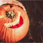 Kürbis Schnitzen Vorlage Gruselig Genial Kürbis Schnitzen Für Mehr Halloweenspaß