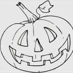 Kürbis Vorlagen Zum Ausdrucken Angenehm Kürbis Vorlagen Zum Ausdrucken Luxus Halloween Kürbis