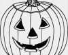 Kürbis Vorlagen Zum Ausdrucken Süß Großer Halloween Kürbis Zum Ausmalen De Hellokids