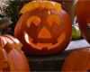 Kürbisgesichter Schnitzen Vorlagen Genial Halloween Kürbis Selber Schnitzen