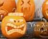 Kürbisgesichter Schnitzen Vorlagen Süß Aldi SÜd Halloween Kürbisse Schnitzen