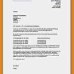 Kurzbewerbung Anschreiben Vorlage Luxus 7 Kurzbewerbung Muster