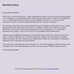 Kurzbewerbung Anschreiben Vorlage Schönste Kurzbewerbung Oder Initiativbewerbung Bewerbungsforum
