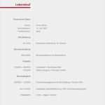 Kurzbewerbung Lebenslauf Vorlage Hübsch Kostenlose Lebenslauf Muster Und Vorlagen Für Deine