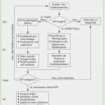 Kvp Prozess Vorlage Erstaunlich Einführung Kvp Prozess Kontinuierlicher Verbesserungsprozess