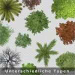 Lageplan Vorlage Erstaunlich top View Trees – Freigestellte Bäume Als Draufsicht Von