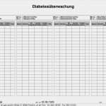 Lagerungsprotokoll Vorlage Elegant Vorlagen Meinpflege Nst