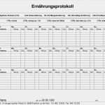 Lagerungsprotokoll Vorlage Genial Vorlagen – Meinpfleg Nst