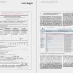 Langzeitlieferantenerklärung Ihk Vorlage Wunderbar Coc Ihk