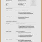 Langzeitlieferantenerklärung Vorlage 2017 Inspiration 4 Gut Langzeitlieferantenerklärung Vorlage 2017 Bilder