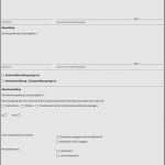 Langzeitlieferantenerklärung Vorlage 2018 Bewundernswert Pr Fbuch Krane