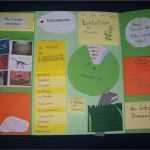 Lapbook Vorlagen Pdf Erstaunlich Sachunterricht Grundschulkram