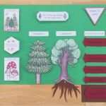 Lapbook Vorlagen Wald Angenehm Wald Lapbook Im Sachunterricht Materialwiese