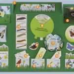 Lapbook Vorlagen Wald Bewundernswert Projektplan Schmetterling Lapbook Für Kindergarten Kita