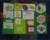 Lapbook Vorlagen Wald Elegant Kasilou Fertige Herbst Lapbooks