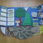 Lapbook Vorlagen Wald Erstaunlich Lapbook Wald Lapbooks Pinterest